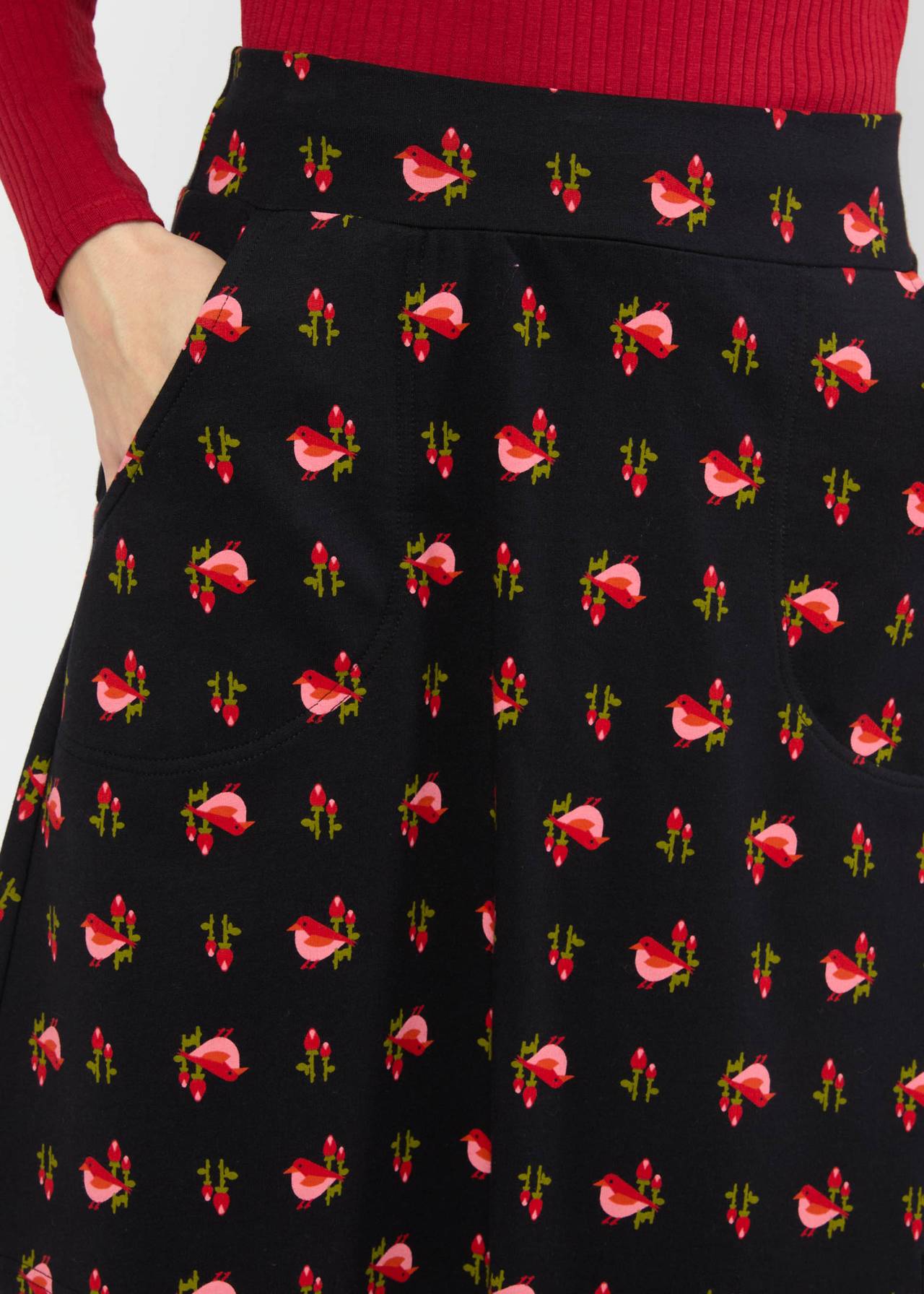 Rock - Sports Lover - blackbird