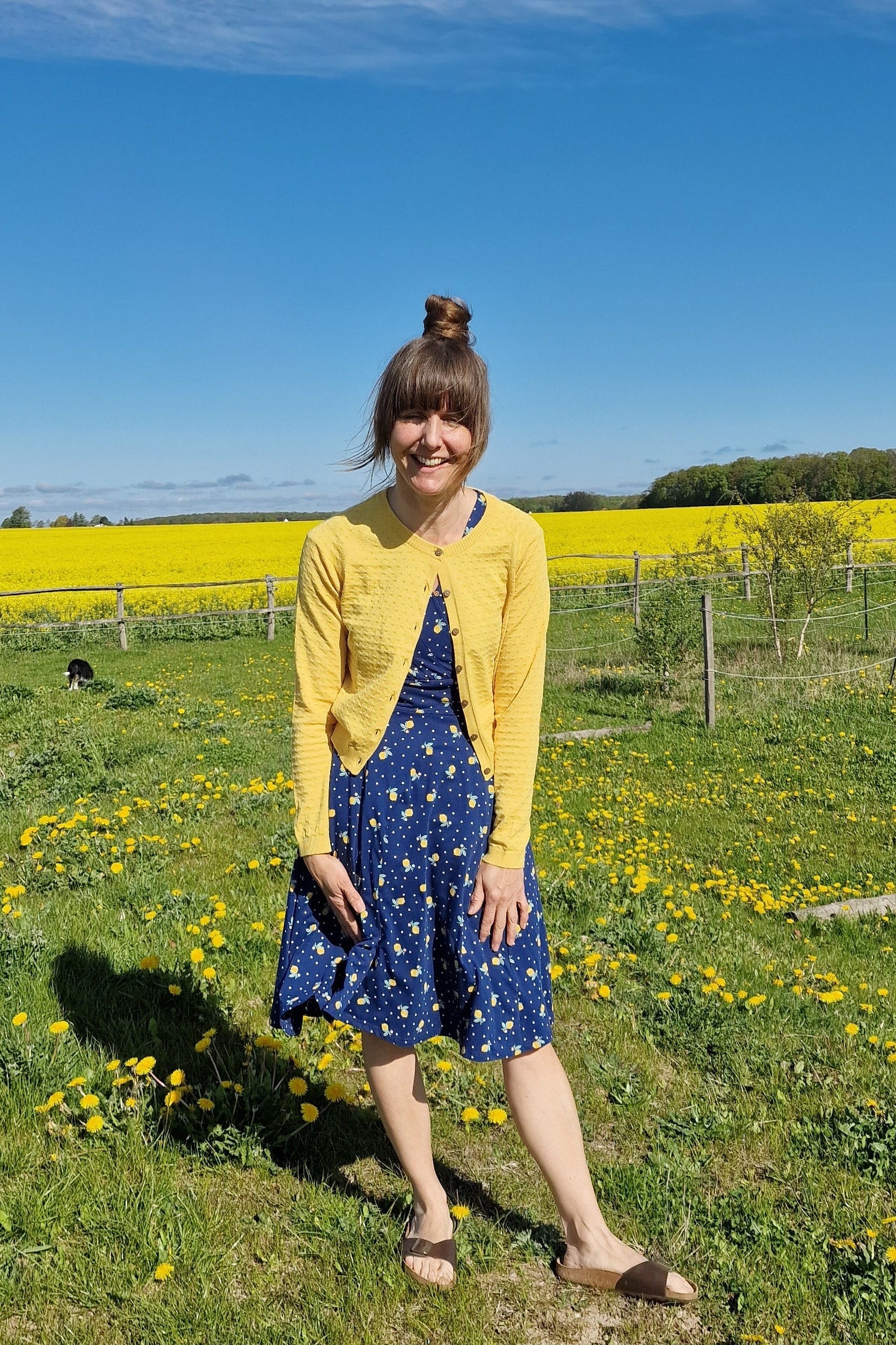 Strickjacke - Sweet Knit - yellow citrus knit