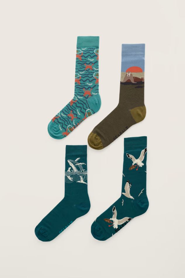 Herren-Socken - Gift Box of 4 Men’s Arty Socks Creatures - Dowr Mix