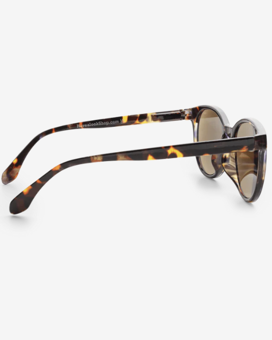 Sonnenbrille - City - tortoise