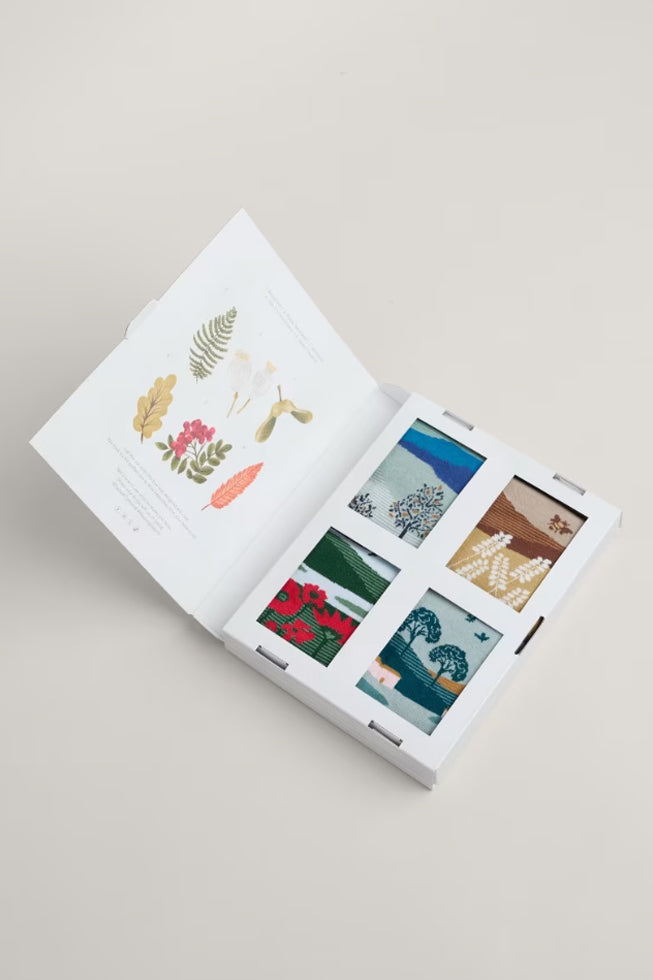 Sockenbox - Women's Sailor Socks Box of 4 Scenic Hall Walk Mix