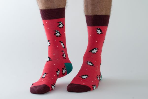 Socken - Red Penguin - Men