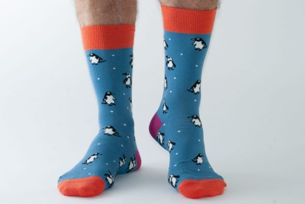 Socken - Blue Penguin - Men