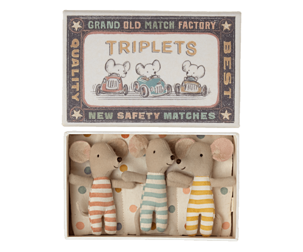 Drillinge in Streichholzschachtel - Triplets, Baby mice in matchbox